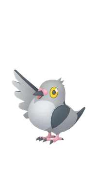 の画像