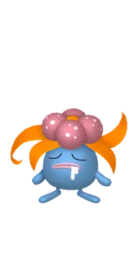 の画像
