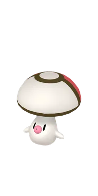 の画像