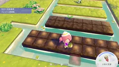 【ぽこポケ】畑で島を演出しよう!おすすめレイアウト&アイデアまとめ【ぽこあポケモン】