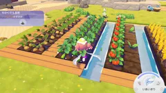 【ぽこポケ】畑の作り方・野菜や作物の成長の仕様まとめ【ぽこあポケモン】