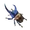 ツルギカブト