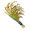 ハイラル米