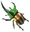 ヨロイカブト