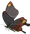 ヒケシアゲハ
