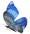 ヒンヤリアゲハ