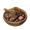 極上肉シチュー