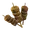 極上ケモノステーキ