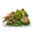 塩焼き山菜