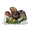 塩焼きキノコ
