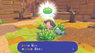【ぽこポケ】ダイビング実装！なみのり強化！メタモンのわざ一覧｜わざの解放条件(入手方法)まとめ【2026/8/5更新】【ぽこあポケモン】