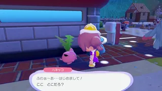 【ぽこポケ】期間限定イベント一覧・2026年6月の最新情報【ぽこあポケモン】