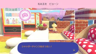 【ぽこポケ】ベストショット・フォトフレーム一覧｜必要なポケモンと発生条件まとめ【ぽこあポケモン】