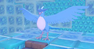 【ぽこポケ】フリーザーを仲間にしよう！ふたごのひむろを建てるコツ【ぽこあポケモン】