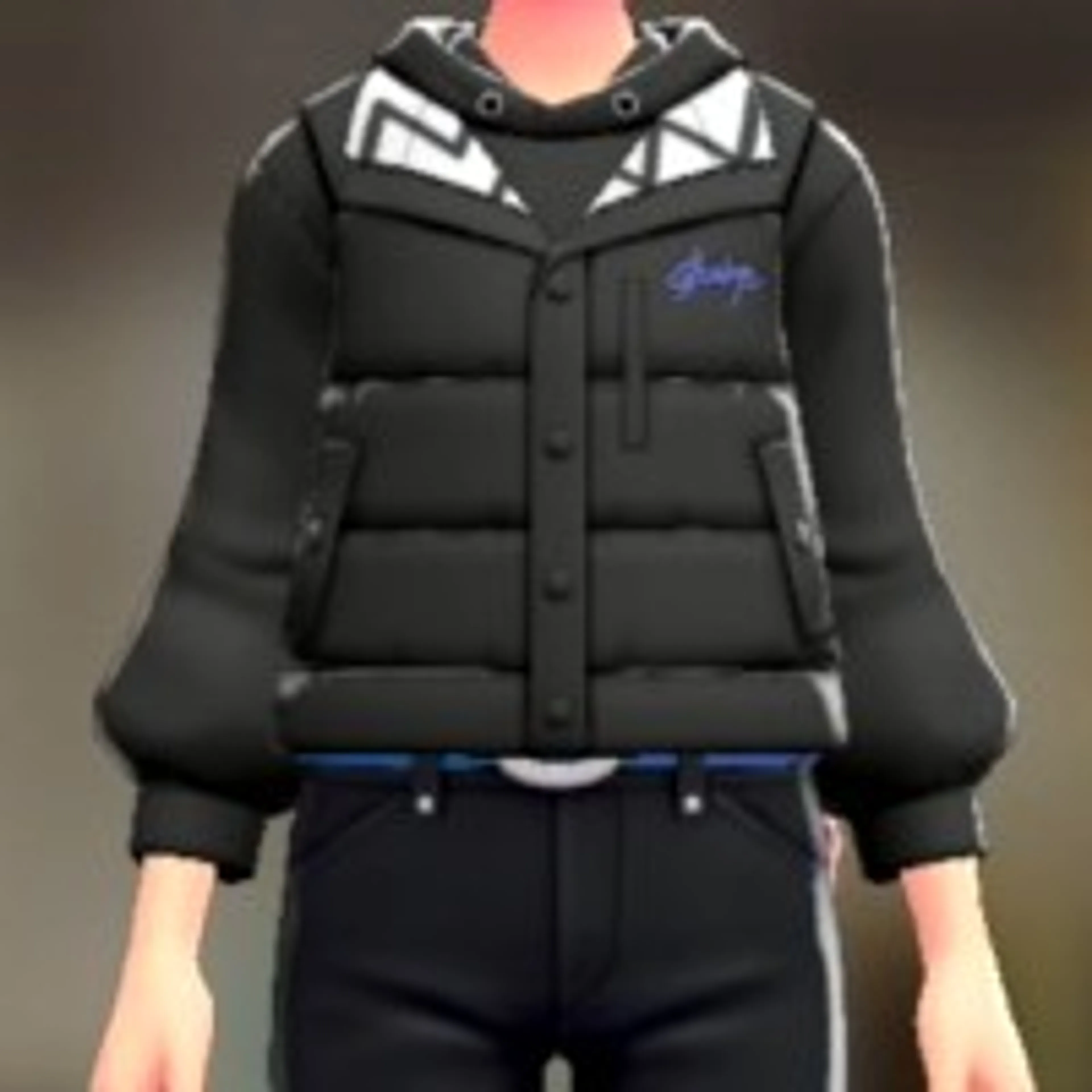 ダウンベスト&パーカーセット - ビビッドブラック ビビッドブラック