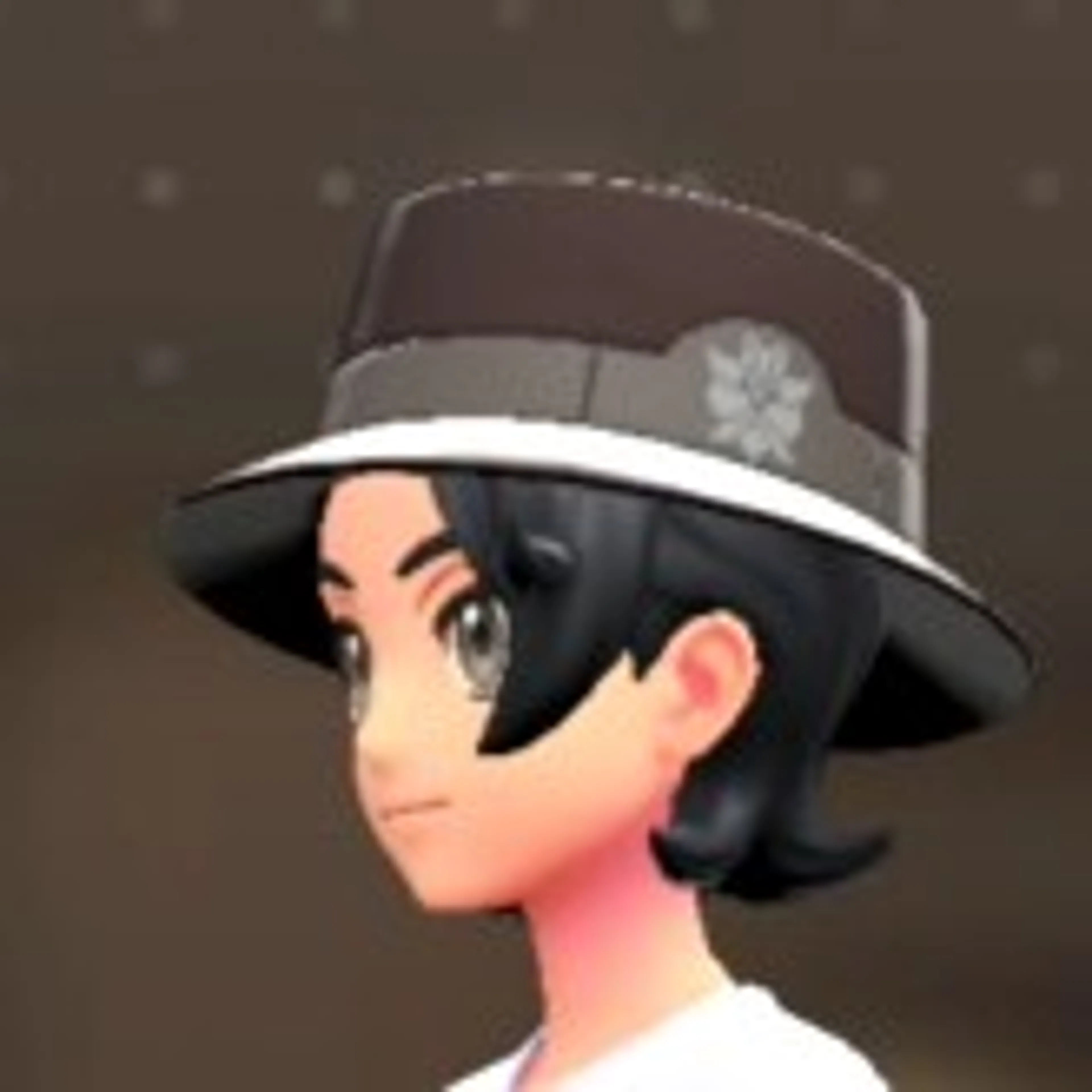 カノチェ - ダークブラウン