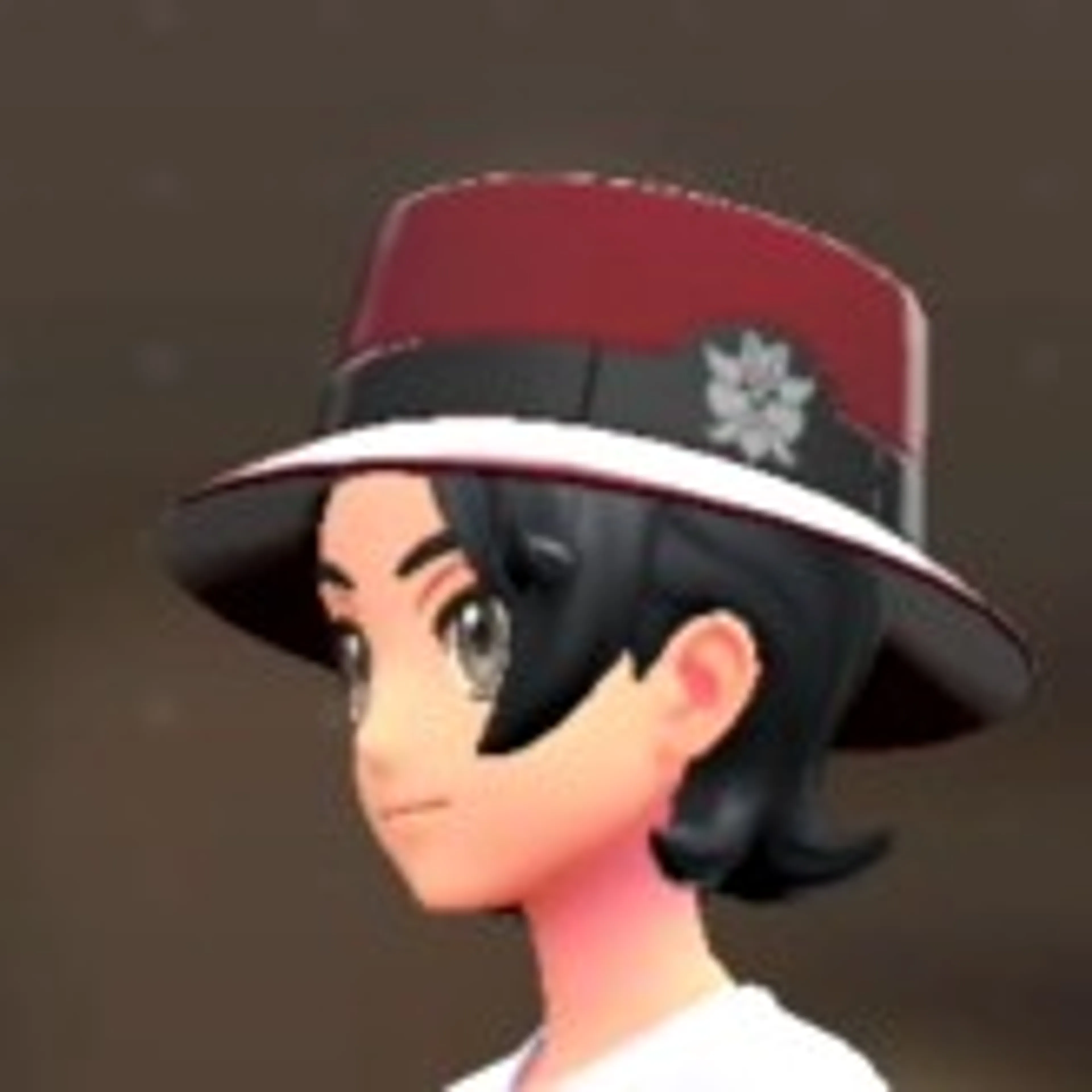 カノチェ - ワインレッド