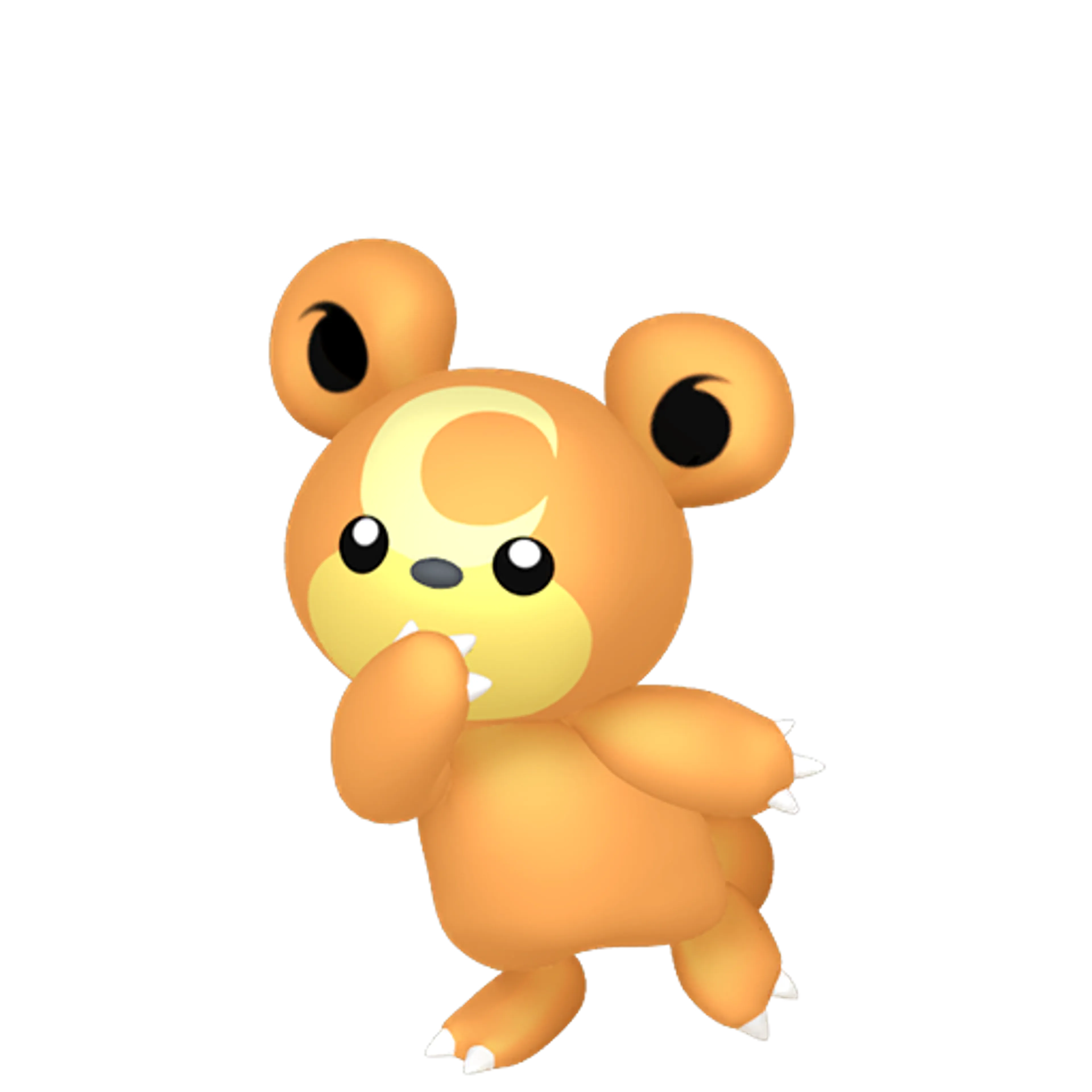 ヒメグマ | ポケツール