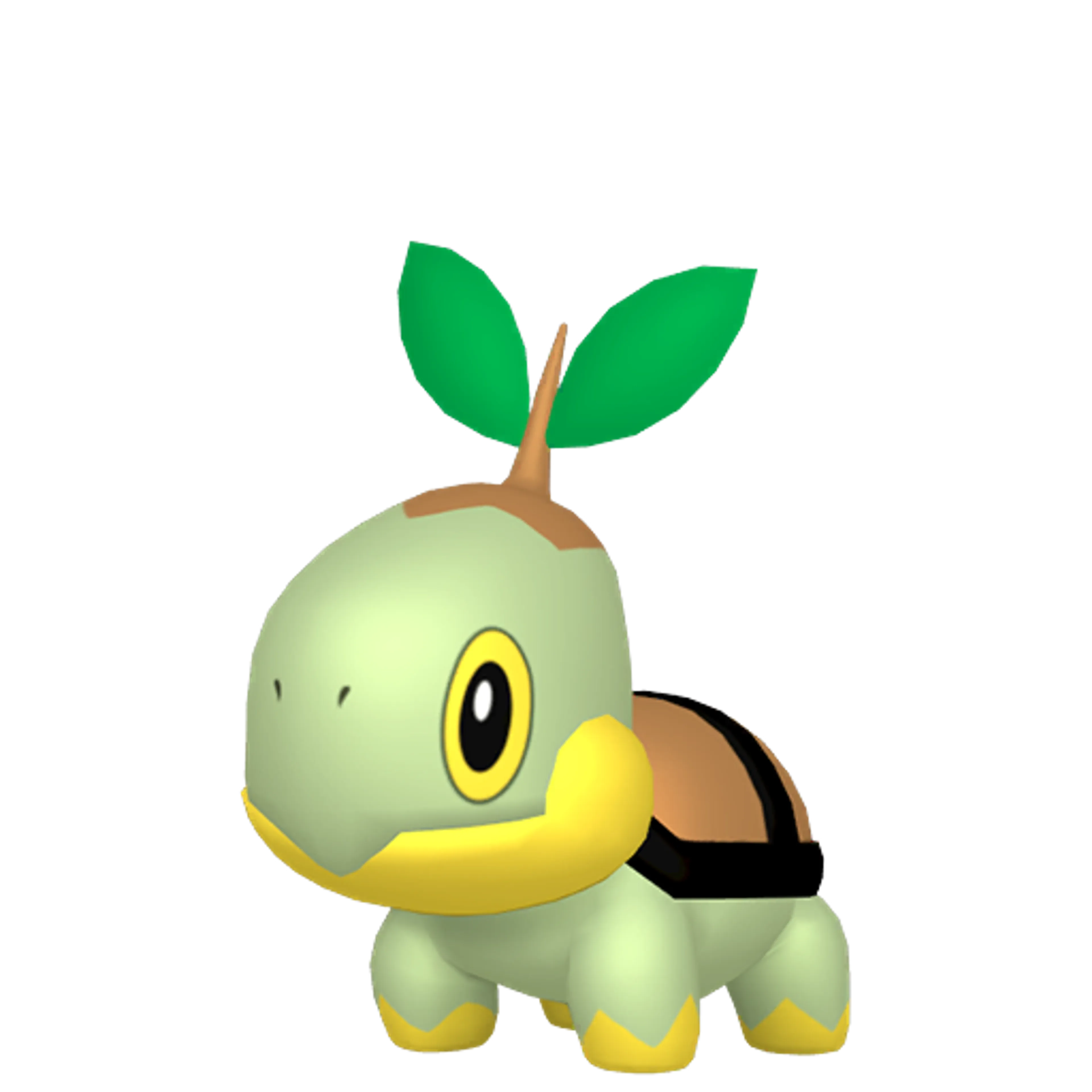 【ちーちゃん専用】ナエトル ナエトル | ポケツール