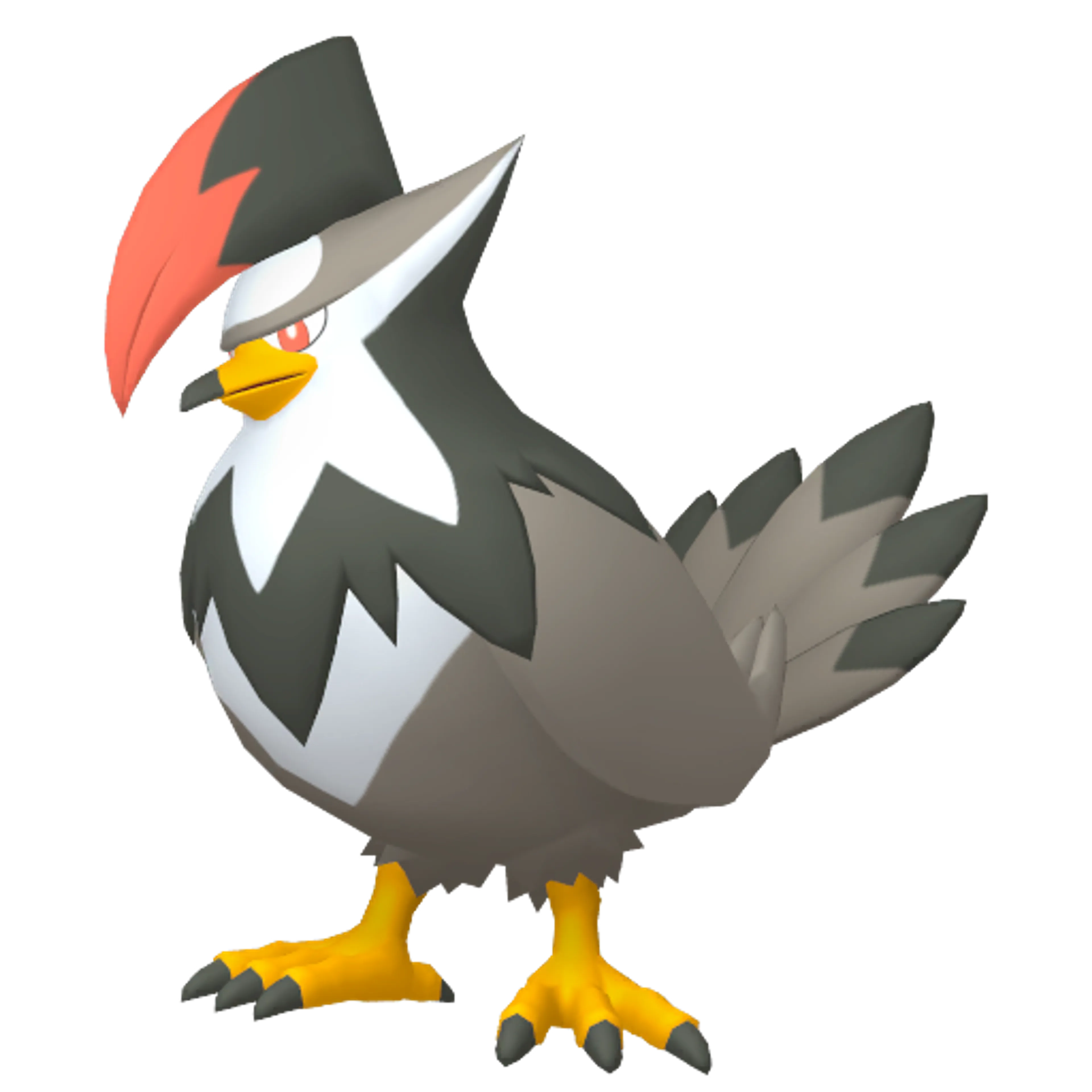 ムクホーク | ポケツール