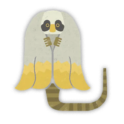 ハナショウジョウの画像