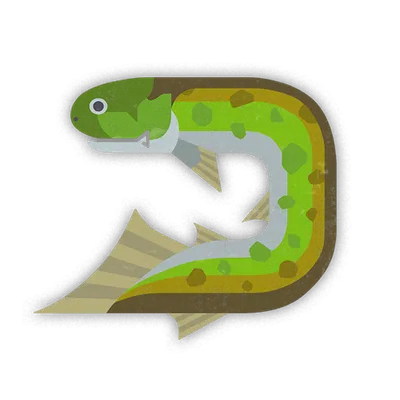 カンランアミアの画像