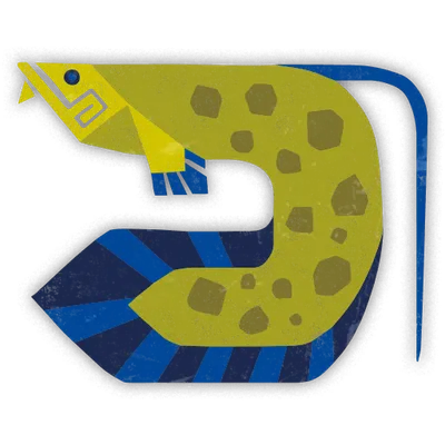 黄金魚の画像