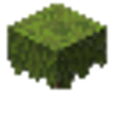 ツツジの画像