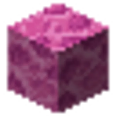 ノウサンゴブロックの画像