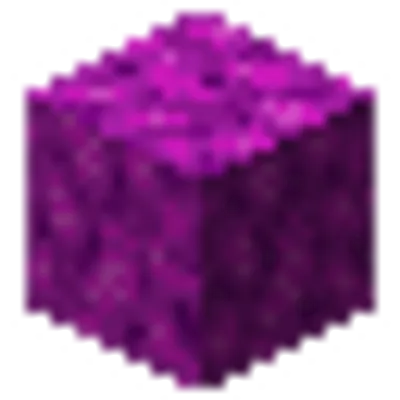 ミズタマサンゴブロックの画像