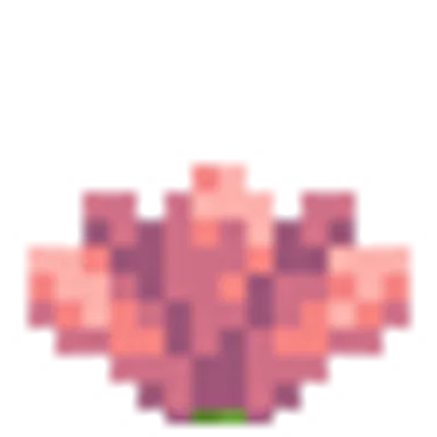 サボテンの花の画像