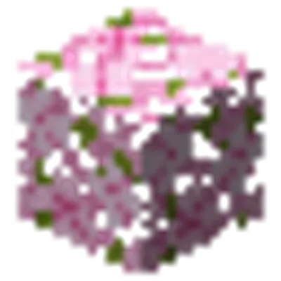 サクラの葉の画像