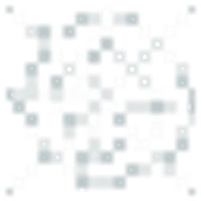 クモの巣の画像