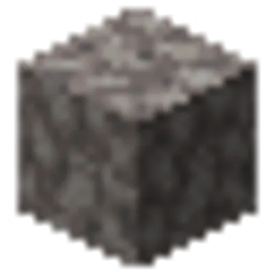 死んだミズタマサンゴブロックの画像
