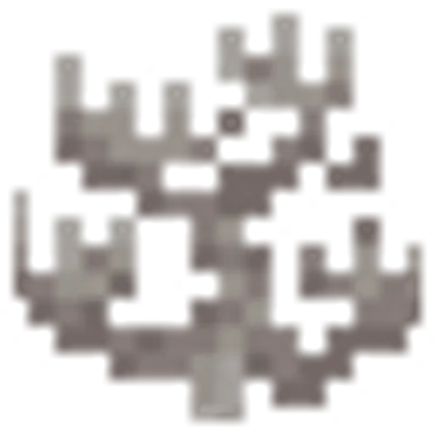 死んだミレポラサンゴの画像