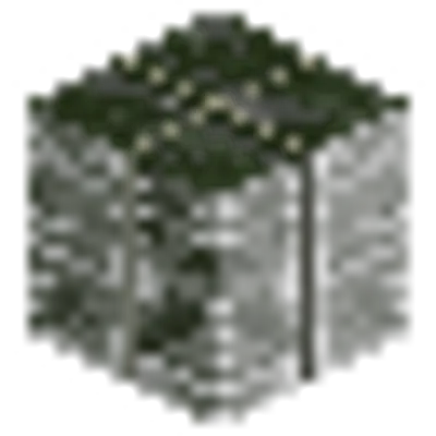乾燥した昆布ブロックの画像