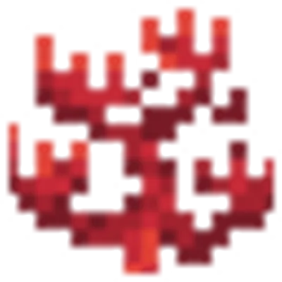 ミレポラサンゴの画像