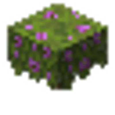 開花したツツジの画像