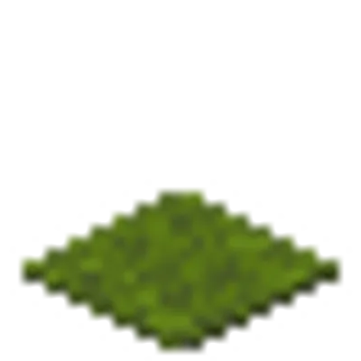 緑色のカーペットの画像