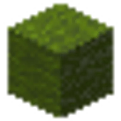 緑色の羊毛の画像