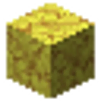シカツノサンゴブロックの画像