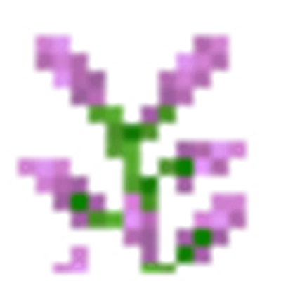 ライラックの画像