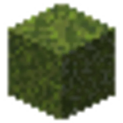 苔ブロックの画像