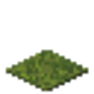 苔のカーペットの画像