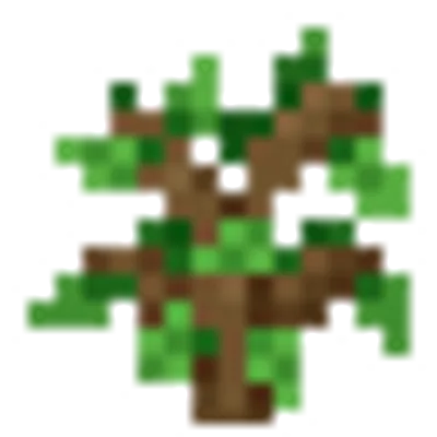 オークの苗木の画像