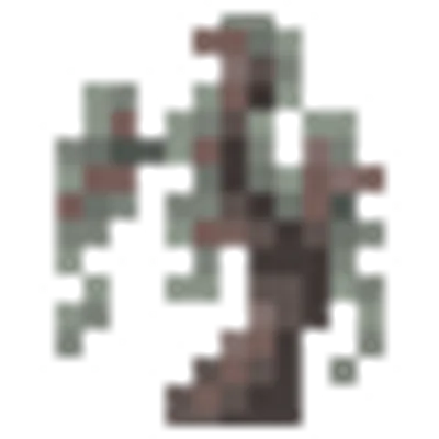 ペールオークの苗木の画像