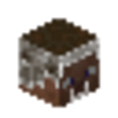 プレイヤーの頭の画像