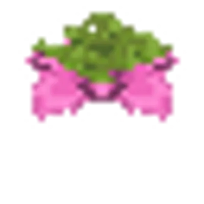 胞子の花の画像