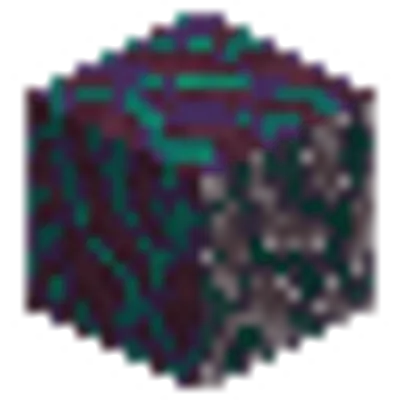 歪んだ菌糸の画像