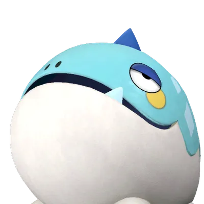 コチワニの画像